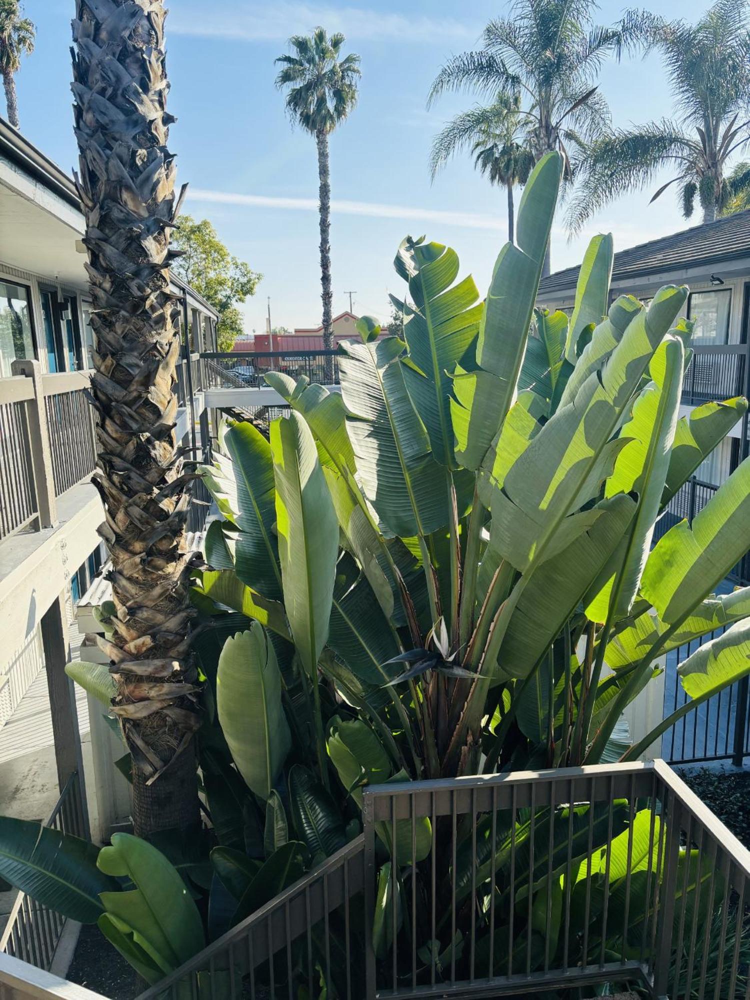 Motel 6-Santa Ana, Ca Экстерьер фото